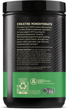 Optimum Nutrition creatine monohydrate powder container with green label band