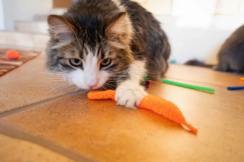 Vibrant Life 24 Piece Value Pack Cat Toys - USA MEGA SHOP