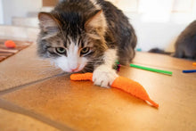 Cat pushing an orange plush carrot toy on the floor with green wand nearby