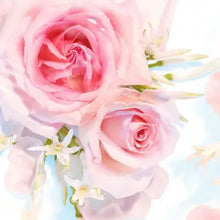 Body wash scent graphic with pink roses and light bubbles