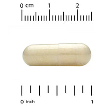 Veggie capsule with size scale from 0 to 2 cm