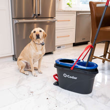 Spin mop bucket and microfiber mop pad beside a seated dog in a kitchen
