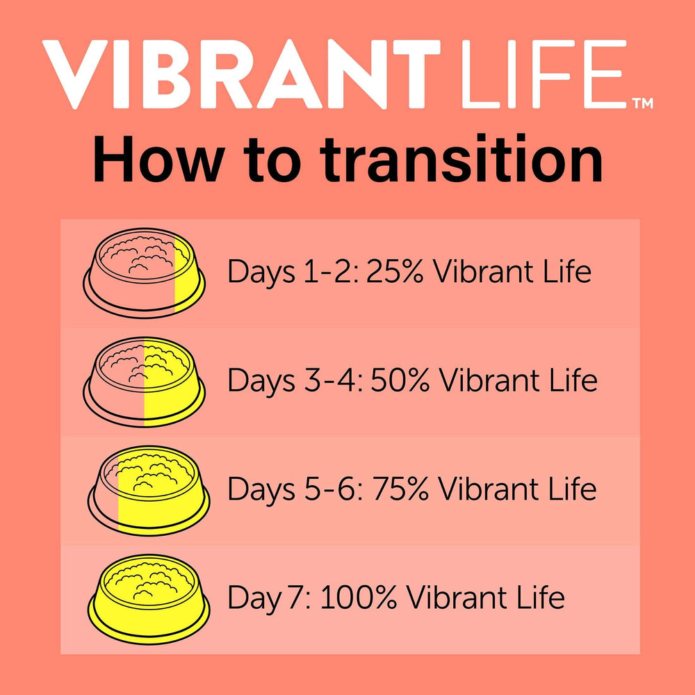 (6 pack) Vibrant Life Gourmet Salmon Entree Cuts in Gravy, Complete + Balanced, 2.64 oz Split Cup