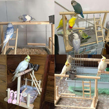 Two wooden parrot play stands with perches, ladder, metal bowls, and colorful birds