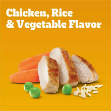 Chicken, rice, and vegetable flavor food visuals with chicken, carrots, peas, and rice