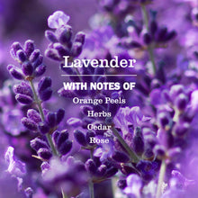 Lavender scented oil diffuser card with notes of orange peels, herbs, cedar, rose