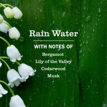 Rain Water scent notes: bergamot, lily of the valley, cedarwood, musk