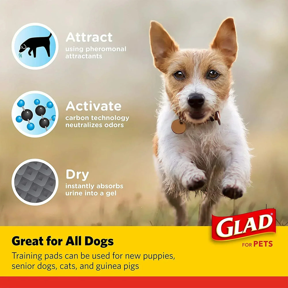 Glad Activated Charcoal Leak-Resistant Training Pads for Dogs, 23in x 23in, 100 Count - USA MEGA SHOP