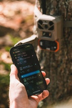 Smartphone shows a cellular trail camera app while the beige camera is mounted on a tree.