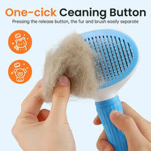 Pet grooming brush with blue handle and removable head shown in hand