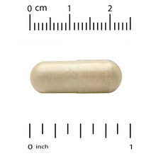 Light beige softgel capsule with ruler measurement markings above and below