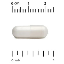 L-Arginine veggie capsules, white, shown with size measurement scale