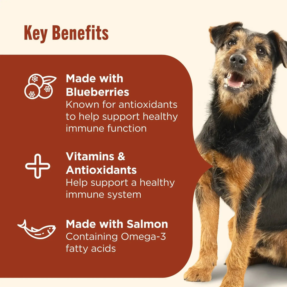 Nutrish Everyday Immune Support Chicken, Salmon, Blueberry & Pumpkin Recipe Dry Dog Food, 13lb Bag - USA MEGA SHOP