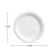 White paper dinner plate with a raised rim, measuring 10 3/8 inches