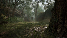PlayStation 5 game screenshot of jungle trail with mist and dense foliage
