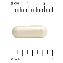 White probiotic capsule with size ruler markings from 0 to 2 inches