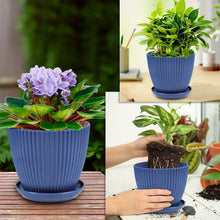 Dark blue ribbed plastic planter with saucer, holding leafy house plants and flowers.