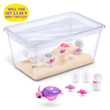 Clear water tank playset with purple turtle and small baby turtle figures and eggs