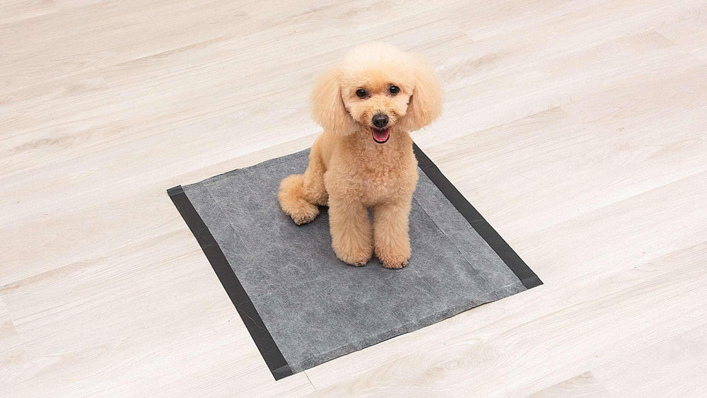 Glad Activated Charcoal Leak-Resistant Training Pads for Dogs, 23in x 23in, 100 Count - USA MEGA SHOP