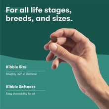 Hand holding brown kibble pieces for dog dry food, with kibble size and softness labels