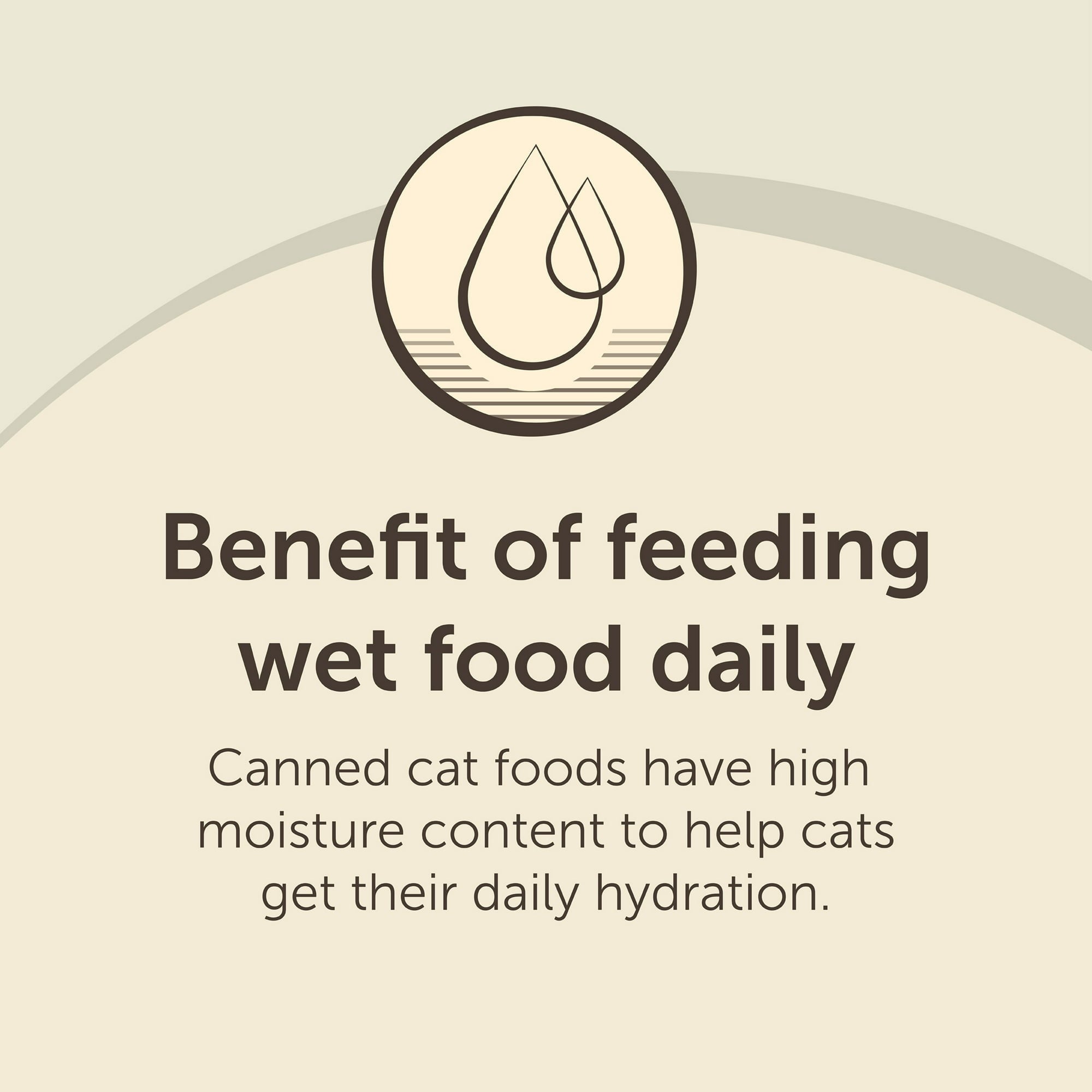 Special Kitty Surf & Turf Pate Wet Cat Food Variety Pack, 5.5 oz Cans (40 Pack)