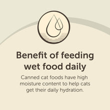 Wet food daily feeding benefits chart with hydration droplet icon