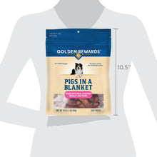 Golden Rewards dog treats pouch shown on a person for size reference