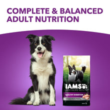 Adult dry dog food package with Border Collie sitting beside it