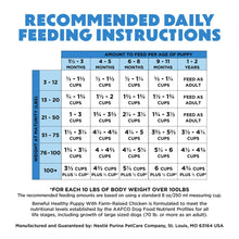 Purina Beneful Healthy Puppy recommended daily feeding instructions chart for puppy and adult