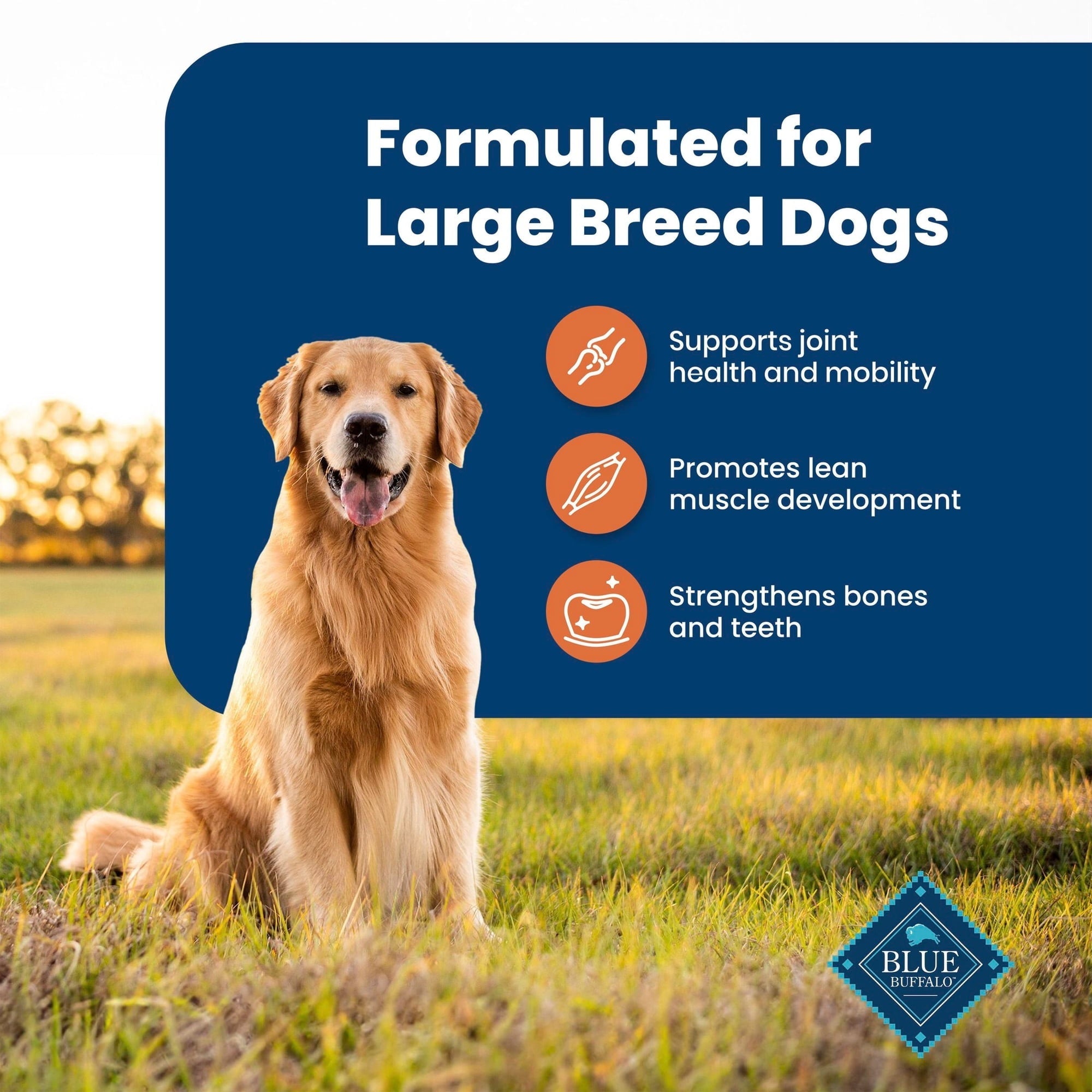 Blue Buffalo Life Protection Formula Large Breed Dry Dog Food, Chicken & Rice