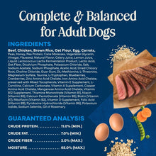 Complete and balanced adult dog ingredients label with listed items and measured food pieces