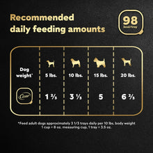 Recommended daily feeding amounts chart for Cesar dog food