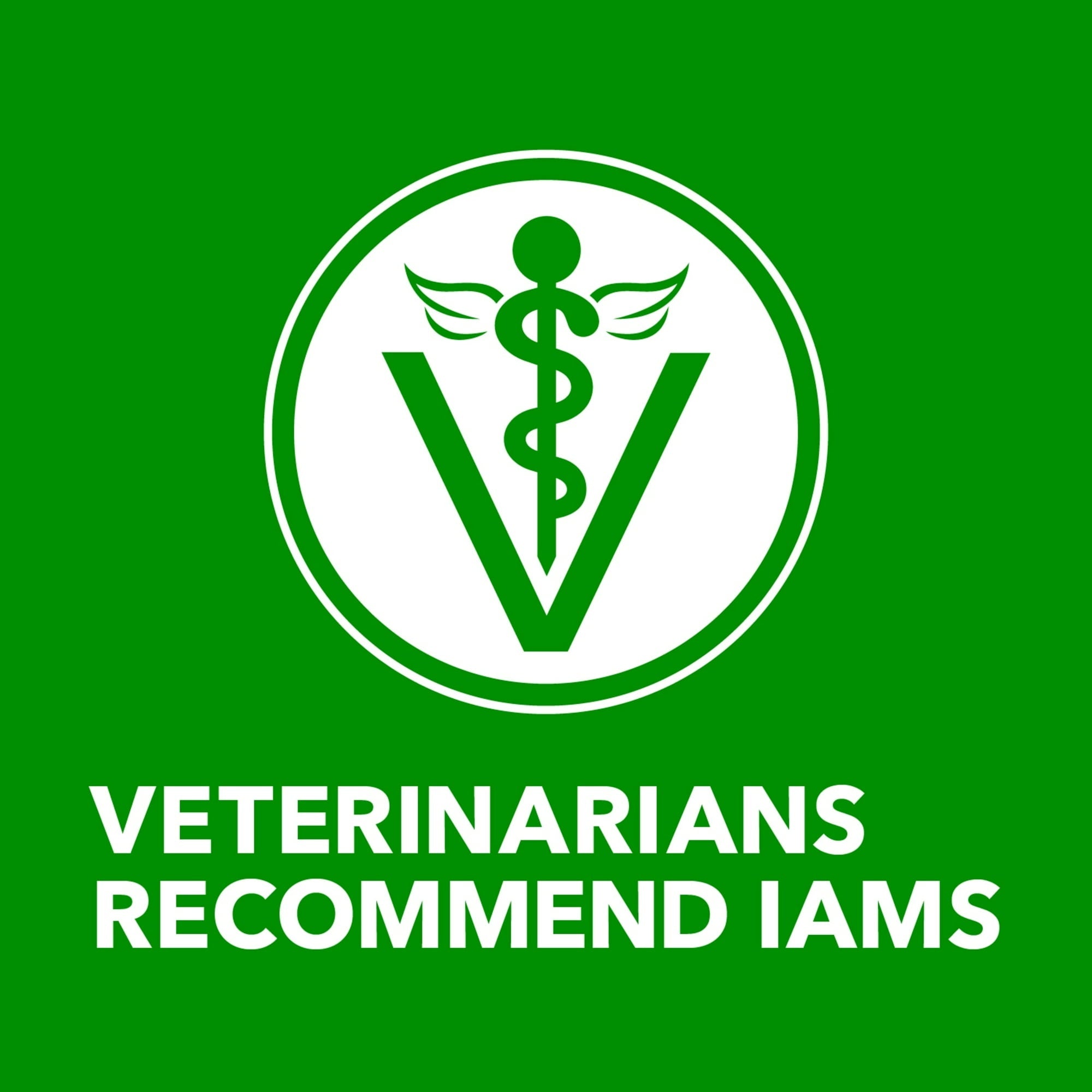 Iams Proactive Health Chicken And Whole Grain Rice Wet Dog Food, 13 Oz Cans (6 Pack)
