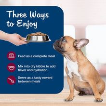 Wet dog food serving guidance with dog drinking from a metal bowl