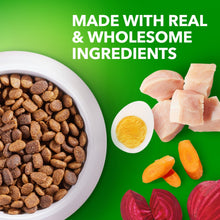 Dry dog kibble in bowl with real chicken chunks and carrot pieces.