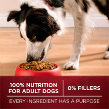 Adult dog eating kibble from a red bowl, with 100% nutrition and 0% fillers text