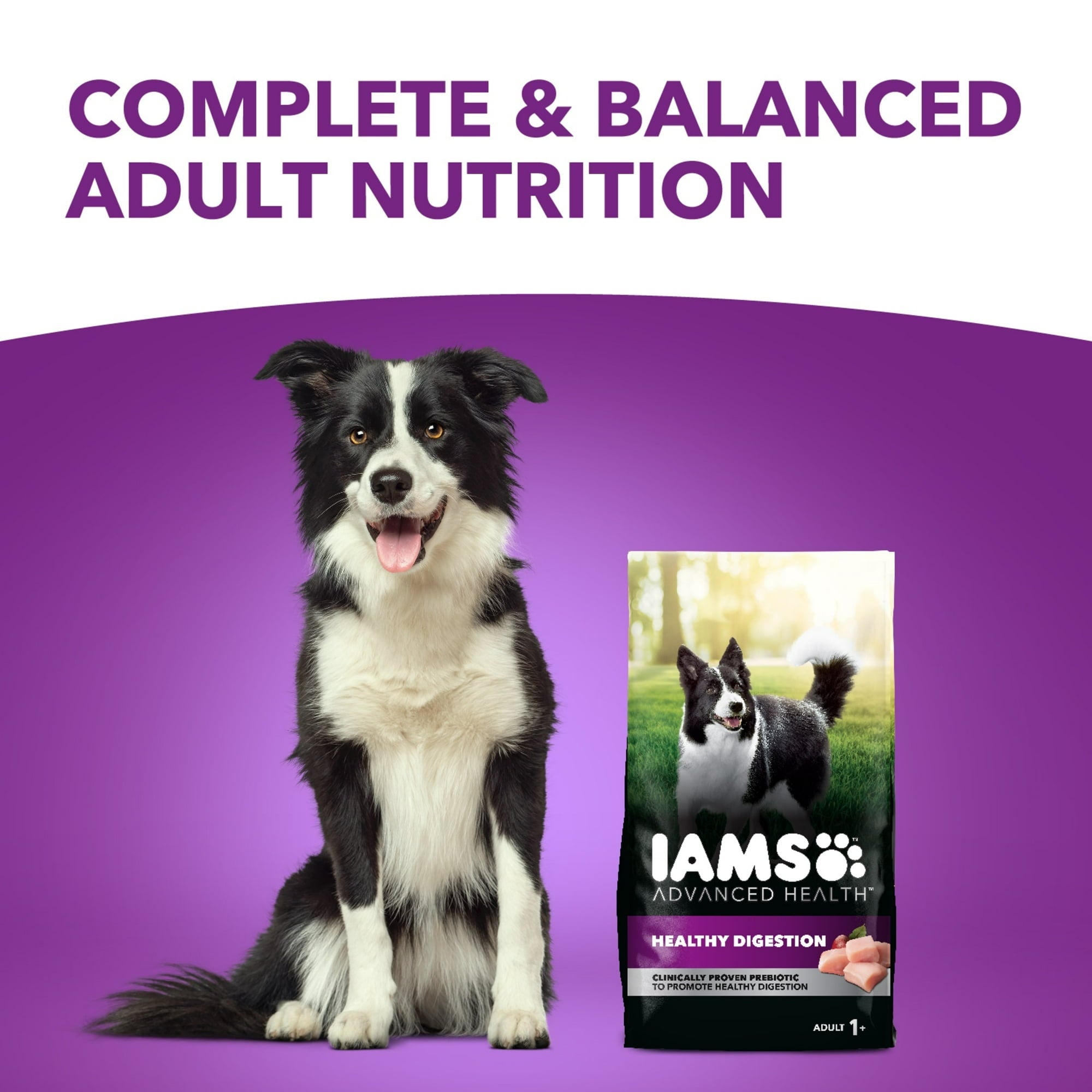 Iams Advanced Health Healthy Digestion Adult Dry Dog Food With Real Chicken