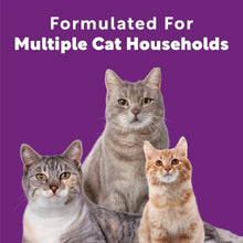 Scoop Away multi-cat litter pack featuring three cats on purple label