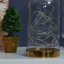 Multicolor LED wire lights inside a clear dome on a gold base