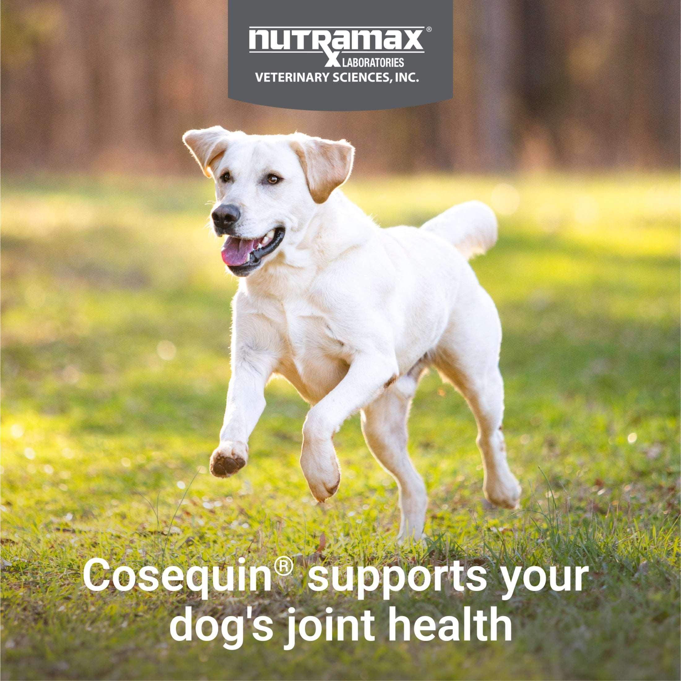 Nutramax Cosequin for Dogs Joint Health Supplement, Chewable Tablets, 60 Count