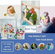 Bird toy gift set layout showing colorful hanging beads and swing parts