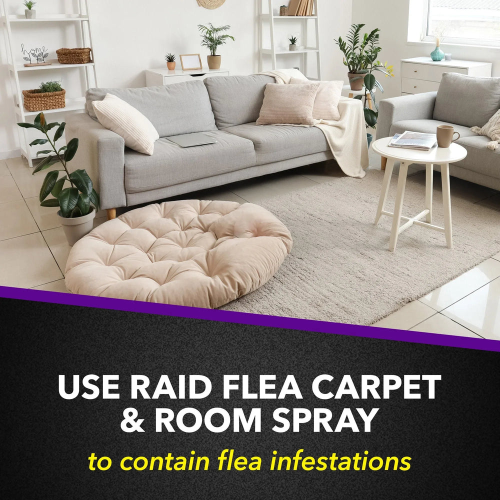 Raid Flea Killer Plus Carpet & Room Spray, Bug Spray Kills Fleas & Flea Eggs, 16 oz - USA MEGA SHOP