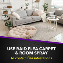 Living room scene with sofa and pet mat under a flea spray banner.