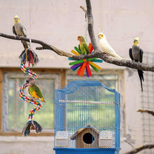 Hanging bird chew toy with colorful rope and woven components on a branch.