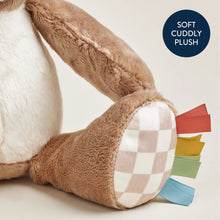 Plush bear arm and checkered paw pad with multicolor fabric ribbon tabs