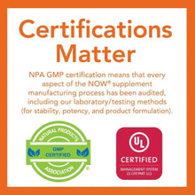 Certifications Matter infographic with GMP and UL Certified seals