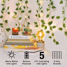 Warm white LED vine curtain string lights with green leaves, battery powered