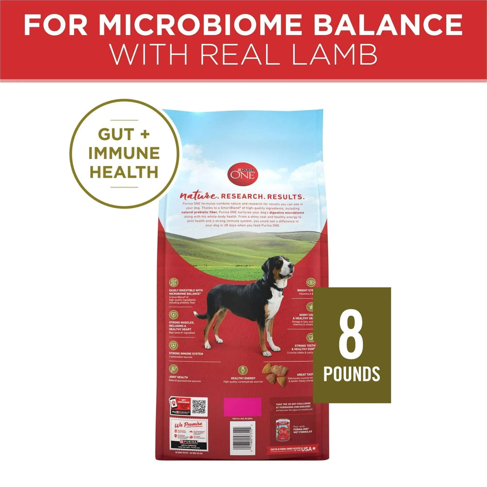 Purina ONE Dry Dog Food Lamb and Rice Formula - USA MEGA SHOP