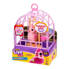 Pink bird toy in purple cage with heart side panel, shown in box