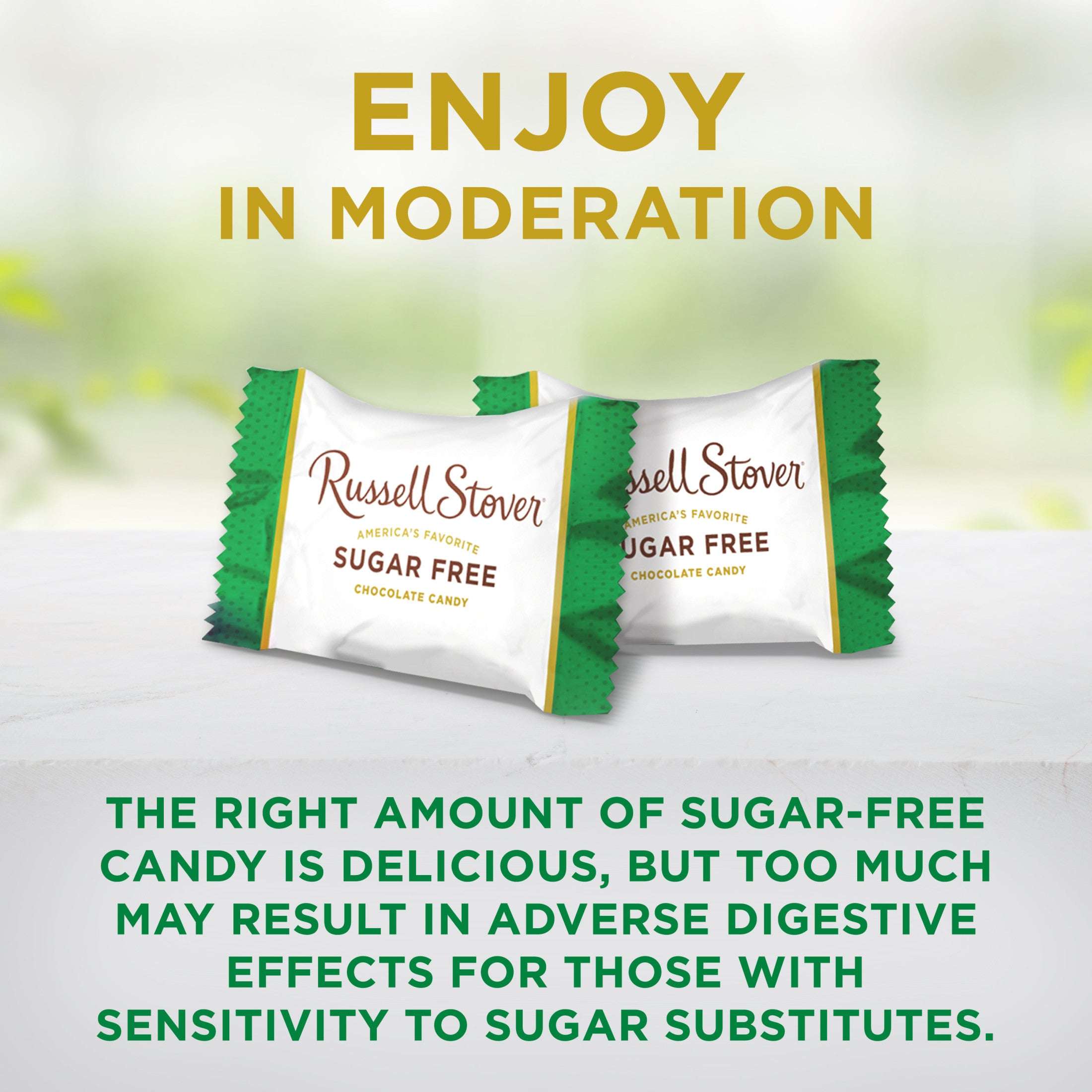 RUSSELL STOVER Sugar Free Pecan Delight Chocolate Candy, 15.5 oz. bag